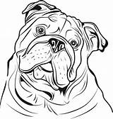 Bulldog Outline French sketch template