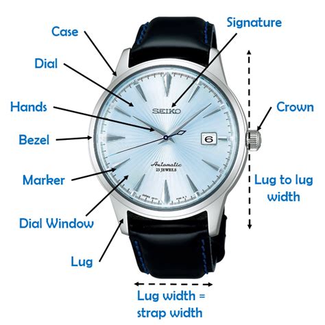 automatic  anatomy automatic watches  men