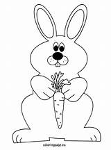 Carrot Bunny Coloring Rabbit Pages Easter Color Printable Getdrawings Getcolorings sketch template