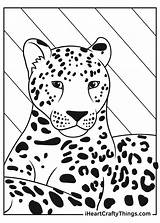 Leopards Coloring sketch template