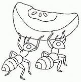 Hormigas Coloriage Formiga Colorat Ants Hormiga Ant Furnici Fourmi Colorir Imprimir Animale Dessin Formigas Planse P02 Trabajadora Fourmis Primiiani Cu sketch template