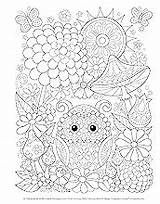 Coloring Owls Groovy Amazon Fun Book sketch template