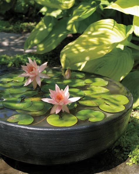 beautiful backyard ponds  water garden ideas