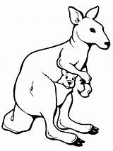 Kangaroo Coloring Mother Baby Pages sketch template