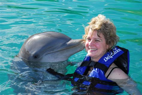 swimming   dolphins mexico review cruisesource