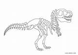 Dinozaur Szkielet Kolorowanka Skeleton Druku Kolorowanki Cool2bkids sketch template
