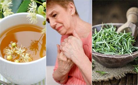 5 herbal remedies for the treatment of arthritis — step to