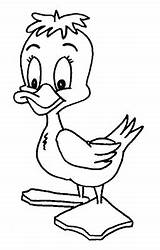Coloring Pages Ducky Lucky Kids Duck Ducks Baby Oleh Diposting Admin Di Duckling sketch template
