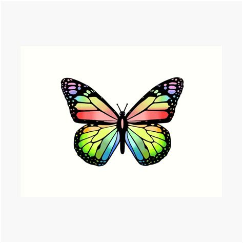 cute colorful butterfly digital drawing art print  anachan