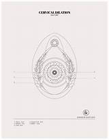 Uterus sketch template