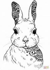 Dementia Zentangle Hase Rabbits Honeycombe Hare sketch template