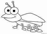 Coloring Bug Pages Bugs Insects Printable Kids Template Designlooter Cool2bkids 508px 54kb sketch template