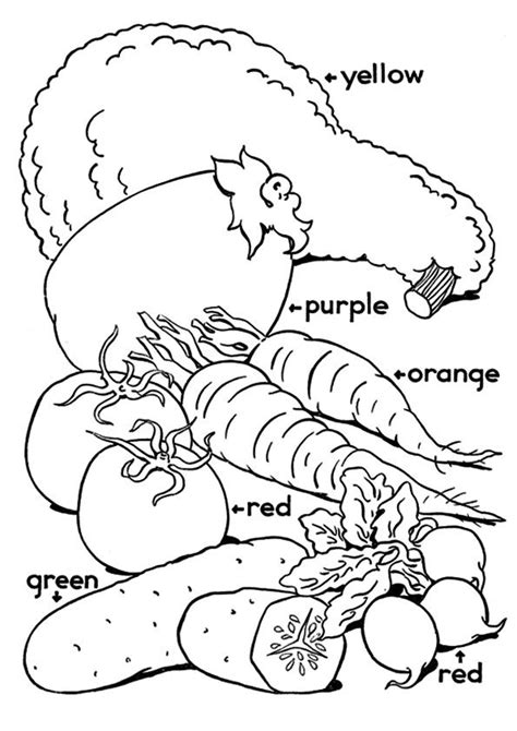 printable bunch  vegetables coloring picture assignment