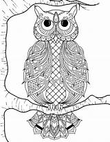 Coloring Owl Pages Printable Adult Etsy Autumn Wall sketch template