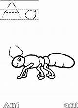 Ant Coloring Pages Letter Abc Alphabet Farm Aa Atozkidsstuff Color Kids Preschool Disney sketch template