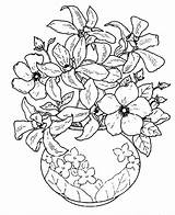 Coloring Vase Flowers Flower Pages Sketch Popular sketch template