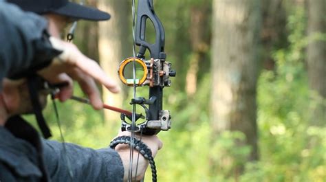 bow sight  guide  hitting  target