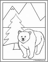 Grizzly Colorwithfuzzy Homecolor sketch template