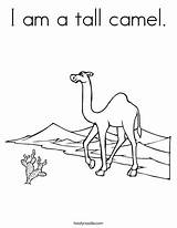 Coloring Tall Camel sketch template