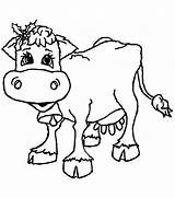 Christmas Cow Coloring Visit Pages Printable sketch template