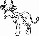 Colorat Planse Bezerro Imagini Desene Ganado Disegni Mucche Vacuta Animate Vacas Amuzante Creion Copii Vacuno Vache Vaca Kids Coloriages Cow1 sketch template