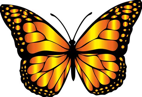 sorts  butterflies clip art vector  vector  encapsulated clip