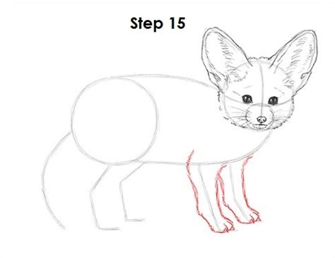 How To Draw A Fennec Fox