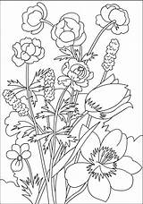 Coloring Flowers Pages Flower Nicole Printable Willem Leen Van Inspiration Colouring Adult Choose Board sketch template