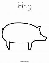 Coloring Pork Hog Pig Built California Usa Twistynoodle Print Noodle Outline Blank sketch template
