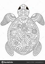Tortue Volwassenen Adulte Coloring Adultes Stress Zeeschildpad Sea Kleurplaat Schildpad Mandalas Schildkröte Ausmalen Erwachsene Fabuleux Antistress Zentangle sketch template