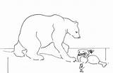 Bear Polar Coloring Printable Pages Color Kids Biome Popular sketch template