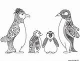Penguins Adulte Penguin Pinguoin Imprimer Pingouin sketch template