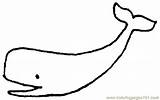 Whale Wal Umriss Tegninger Ausmalbilder Ausmalbild Walvis Hval Wale Malvorlage Malvorlagen Skizze Supercoloring Contour Tegne Whales Cliparts Kostenlos Ausdrucken Quilt sketch template