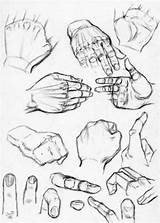 Reference Drawing Hands Draw Hand Step Knuckles Sketches Guides Sheets Drawings Anatomy Drawinghowtodraw Tutorials Figure Human Choose Board Learn Tutorial sketch template
