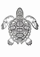 Coloriage Mandala Animaux Coloring Pages Tortue Imprimer Turtle Animal Colorier Dessin Marine Zen Adult Enregistrée Depuis Dimanche Adulte La Visit sketch template