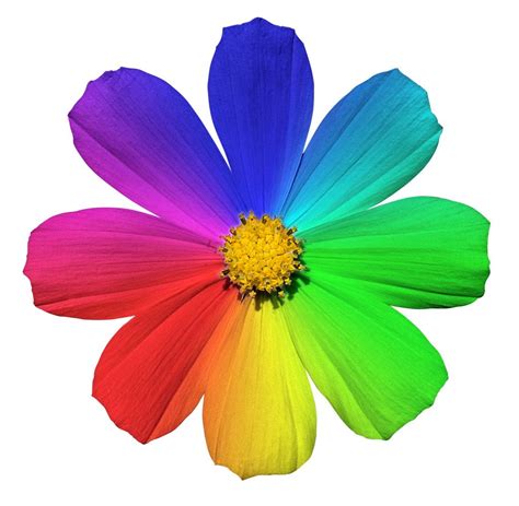 meaning  flower colors learn  flower colors symbolize