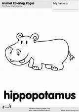 Coloring Hippopotamus Simple Super sketch template