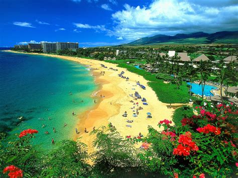 hawaiian life hawaii    beautiful photo