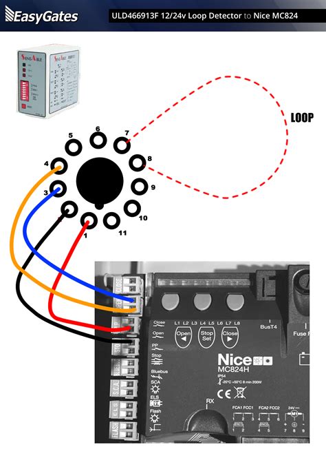 loop detector wiring diagram tuqueirninian