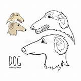 Borzoi Bred Russian sketch template