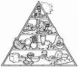 Piramide Alimentar Alimenticia Saludables Imagui Pirámide Pintar Ciclo Rueda Cfa sketch template