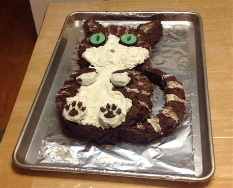 tabby cat cake recipe   pinch recipes