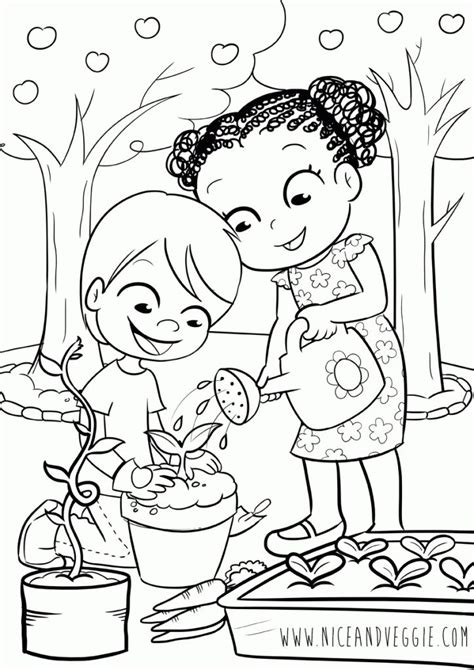 garden coloring pages color books  pictures garden coloring