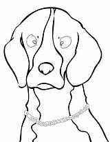 Beagle K5worksheets Coloringtop Via sketch template