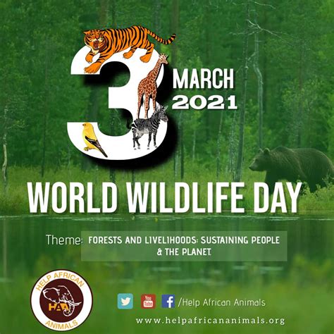 happy world wildlife day  african animals