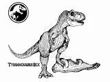 Coloring Jurassic Rex Park Pages Drawing Paintingvalley sketch template