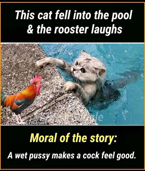 Funny Photo Double Meaning Funny Png