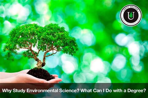 study environmental science unity environmental university
