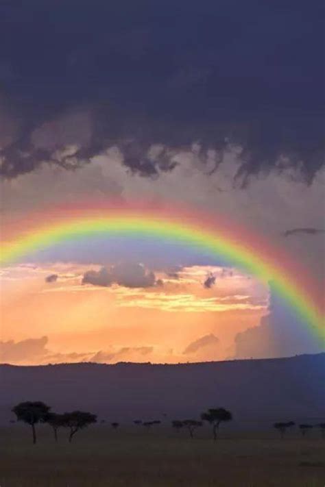 capture  perfect moment  full spectrum  rainbow xcitefunnet