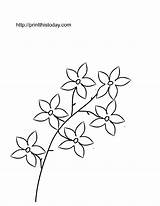 Coloring Flowers Flower Spring Printable Color Pages Print Branch Templates Flowers2 Kids Library Clipart Fun Beautiful Popular Printthistoday Comments sketch template